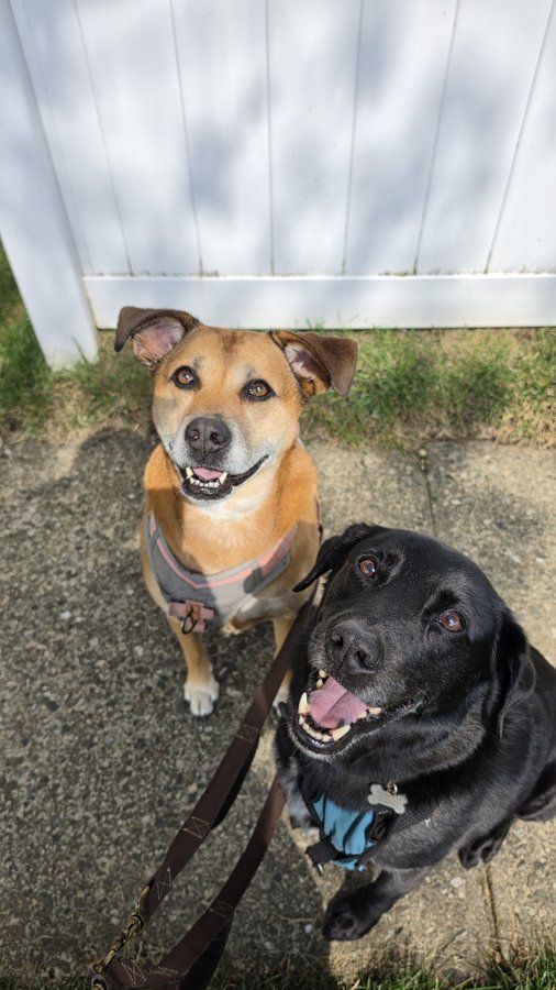 Maryjane and Phoenix grinning up at the camera