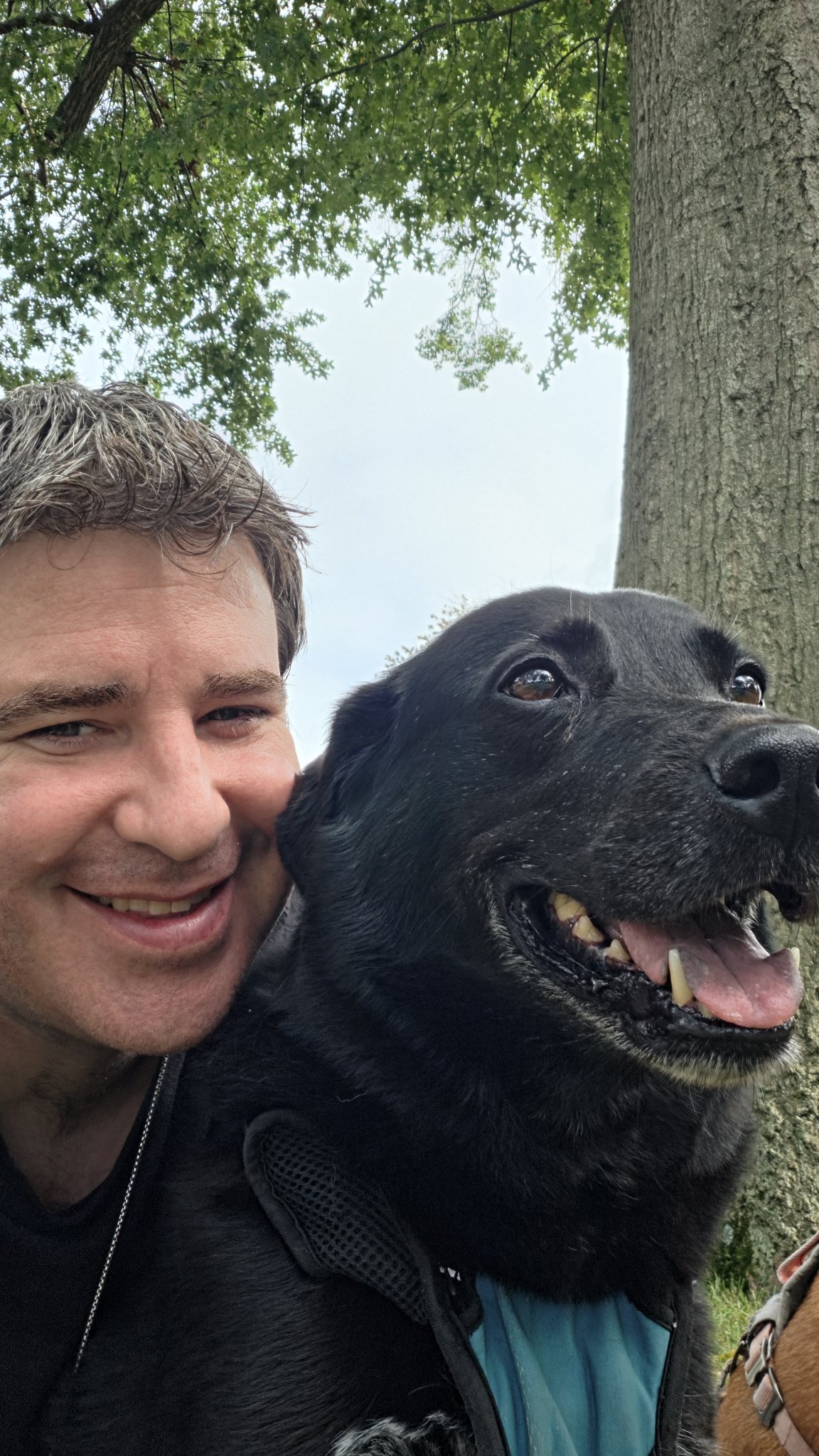 Phoenix happy on a walk